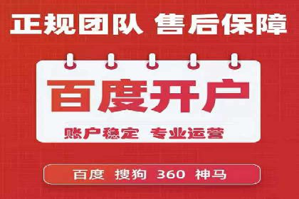 XX领域竞价广告的投放策略及效果展示
